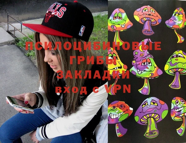 apvp Краснослободск