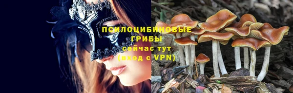 эйфоретик Краснотурьинск
